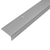 DURAL Profilé pour marches d'escalier pour 1 x garniture 43 mm TREDSAFE aluminium anodisé argent 26mm 250cm
